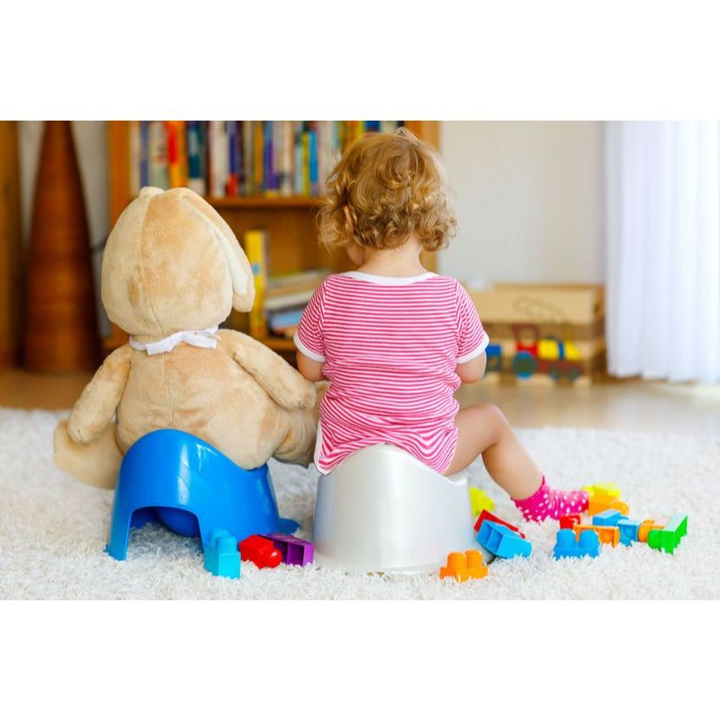 [BABYLOVE] Kids Potty Train Basic Chair For Training Toilet Baby